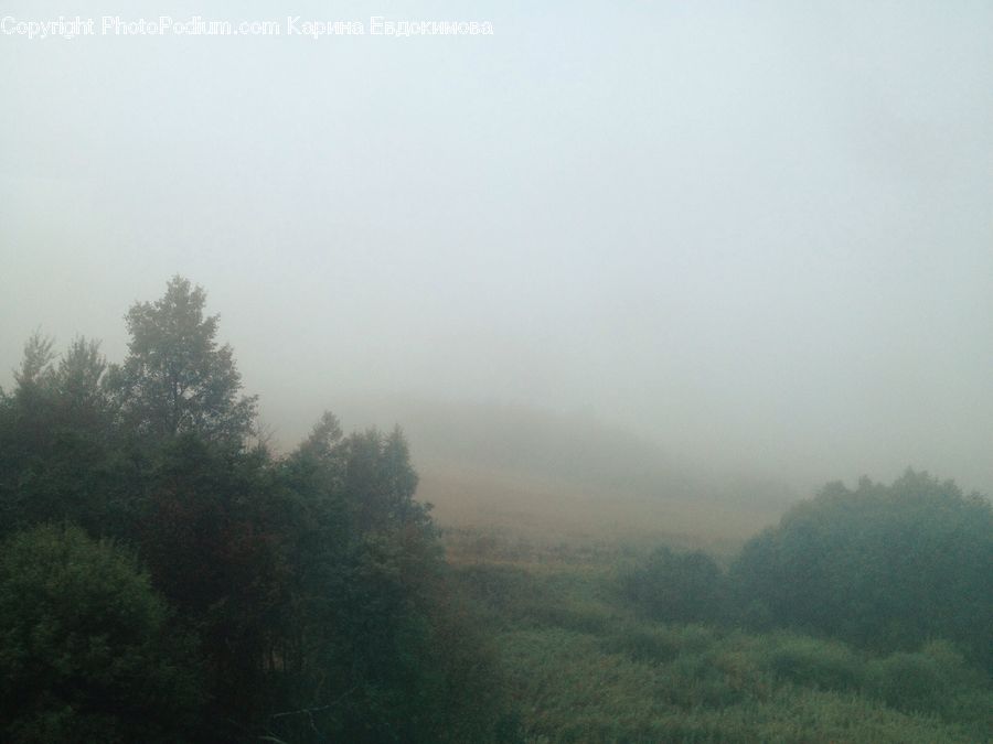 Fog, Mist, Outdoors