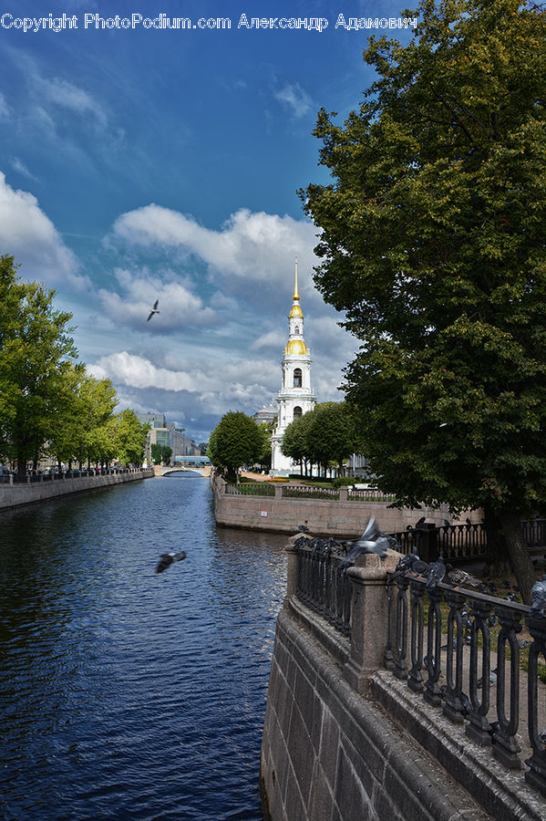 Bird, Pigeon, Beacon, Building, Lighthouse, Water Tower, Architecture