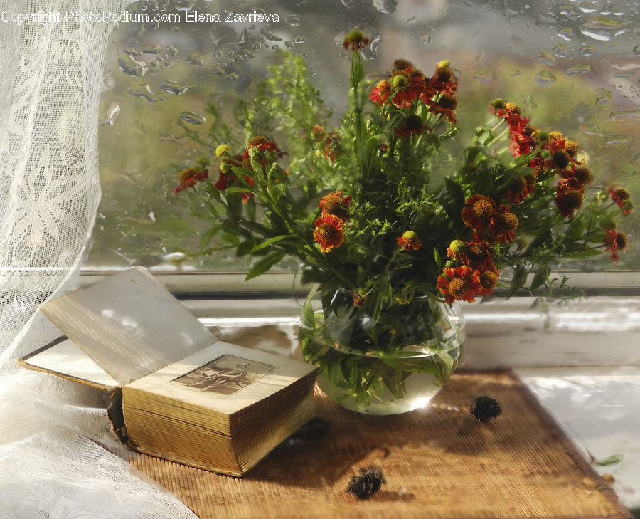 Plant, Potted Plant, Floral Design, Flower, Flower Arrangement, Flower Bouquet, Ikebana