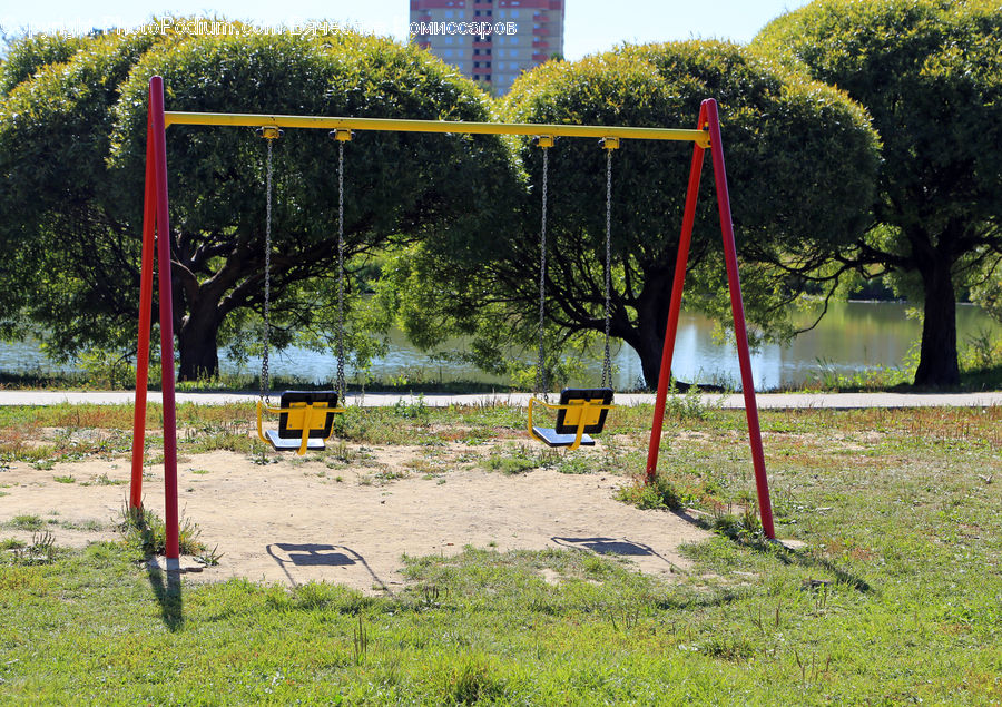Playground, Swing, Plant, Tree, Oak, Wood, Nature