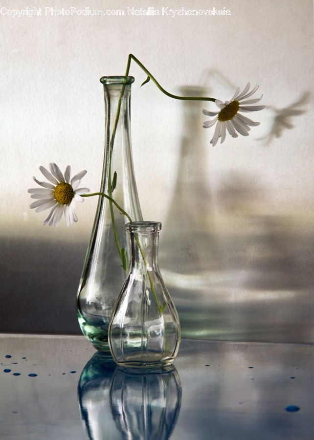 Bottle, Glass, Goblet, Jug, Pitcher, Water Jug, Flower Arrangement