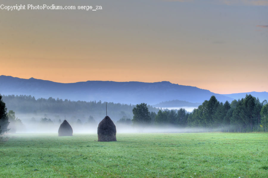 Field, Grass, Grassland, Land, Outdoors, Fog, Mist