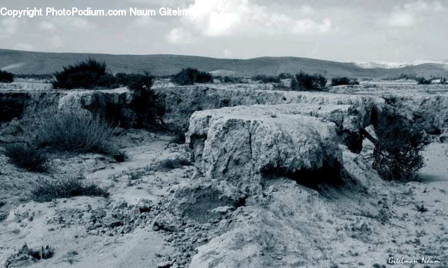Frost, Ice, Outdoors, Snow, Countryside, Rock, Plant