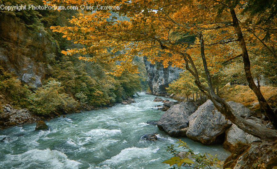 Creek, Outdoors, River, Water