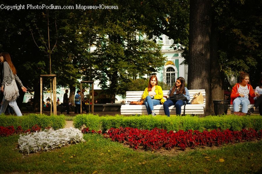 People, Person, Human, Blossom, Flora, Flower, Plant