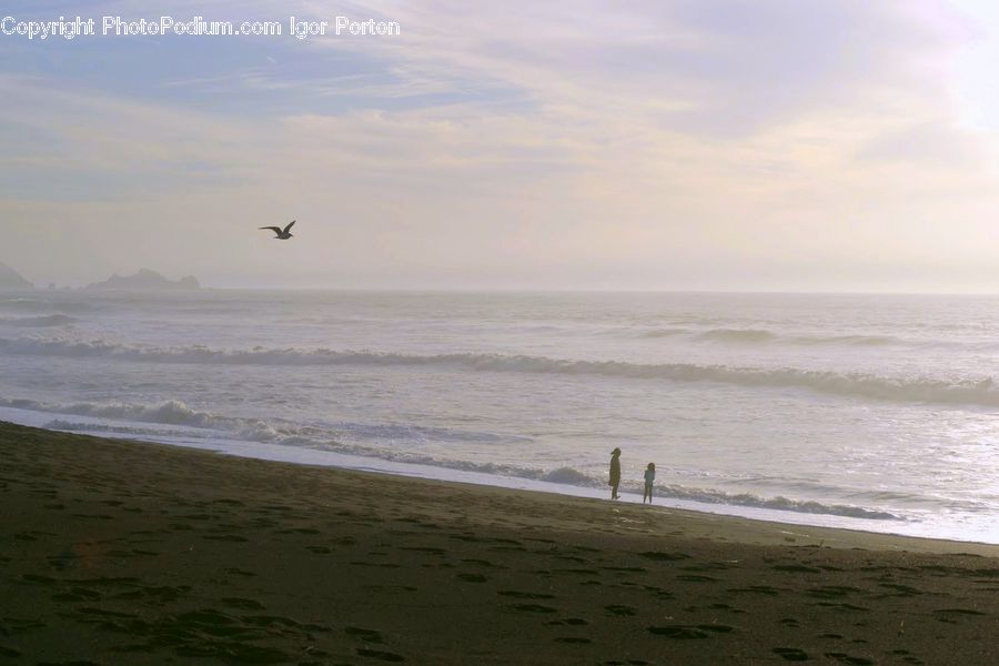 Beach, Coast, Outdoors, Sea, Water, Ocean, Landscape