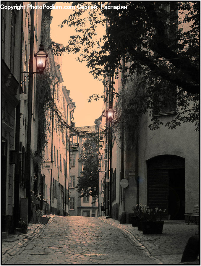 Alley, Alleyway, Road, Street, Town, Cobblestone, Pavement
