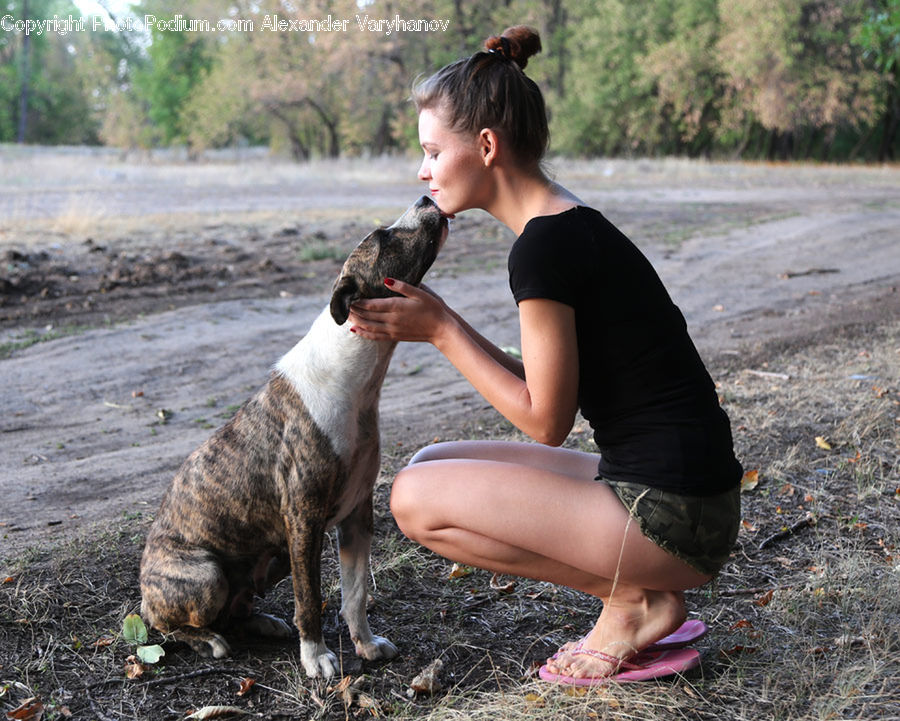 People, Person, Human, Animal, Boxer, Bulldog, Canine