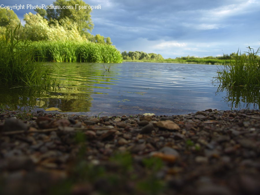 Land, Marsh, Outdoors, Swamp, Water, Pond, River