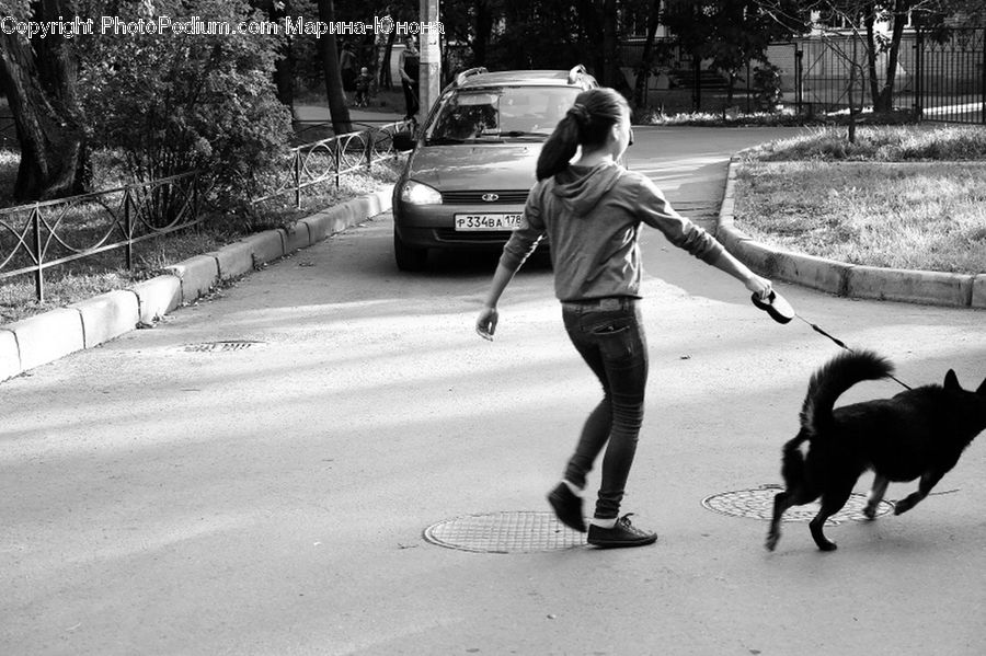 People, Person, Human, Automobile, Car, Vehicle, Bench
