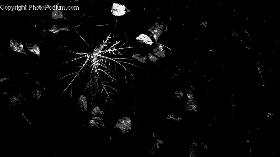 Fireworks, Night, Outdoors, Nebula, Outer Space, Space, Universe