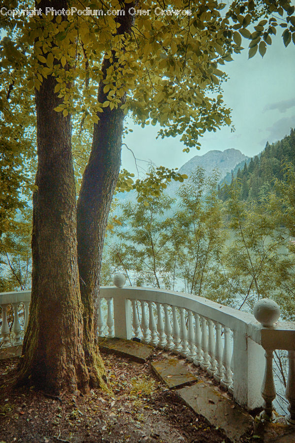 Park Bench, Boardwalk, Deck, Path, Sidewalk, Walkway, Banister