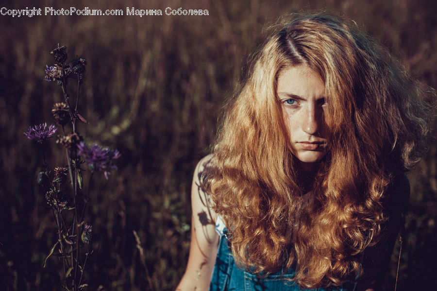 People, Person, Human, Blonde, Female, Woman, Blossom