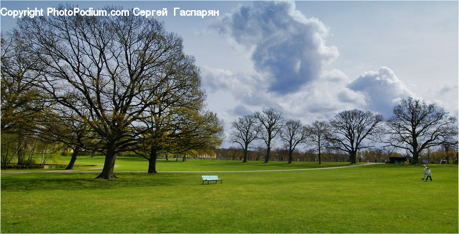 Golf Course, Grassland, Field, Grass, Lawn, Plant, Park