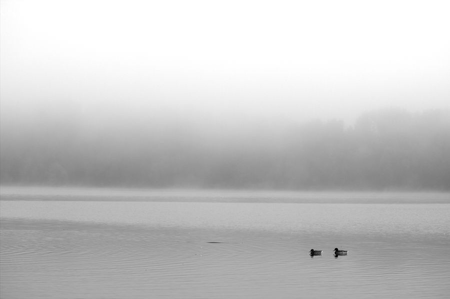 Fog, Outdoors, Sea, Water, Ocean, Coast