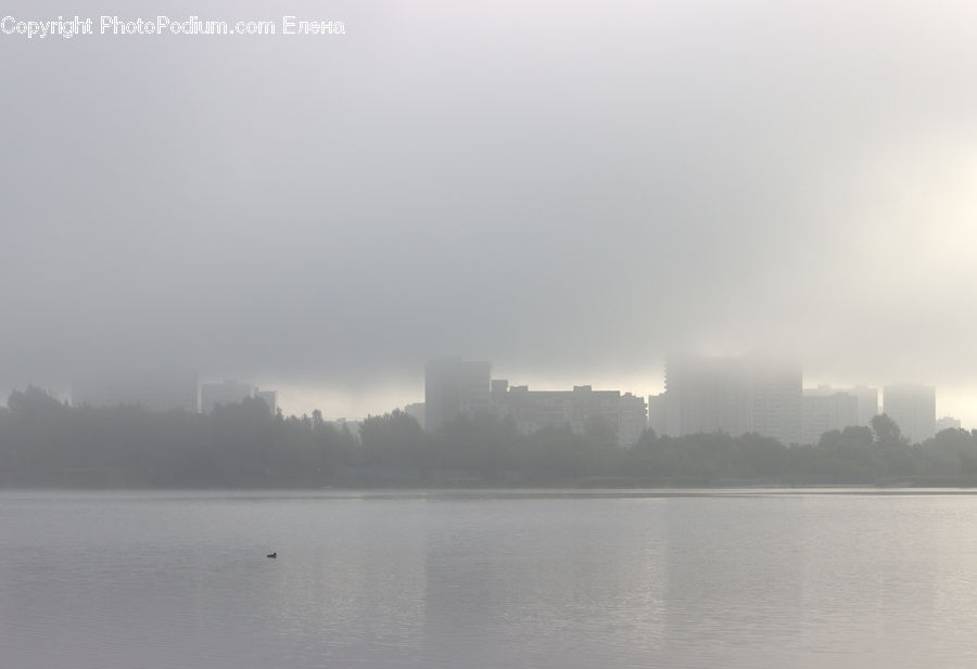 Fog, Dawn, Dusk, Sky, Sunrise, Sunset