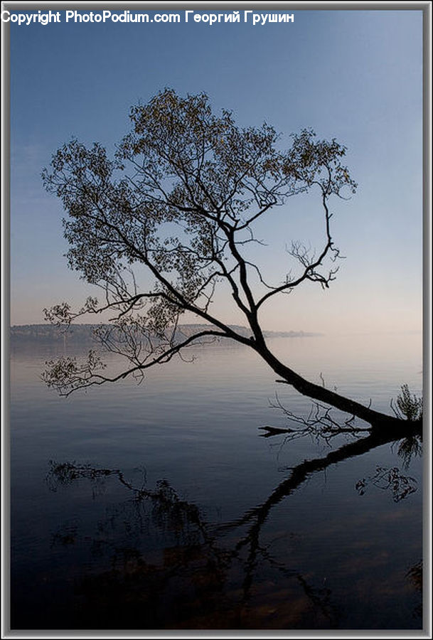 Plant, Tree, Lake, Outdoors, Water, Sea, Landscape