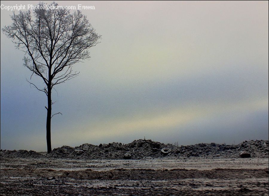 Plant, Tree, Outdoors, Plateau, Dirt Road, Gravel, Road