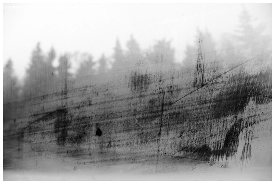Drawing, Sketch, Forest, Vegetation