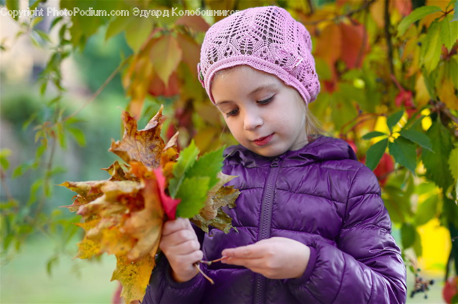 People, Person, Human, Ivy, Plant, Vine, Maple