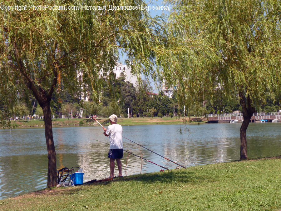 Exercise, Fitness, Jogging, Leisure Activities, Landscape, Nature, Scenery