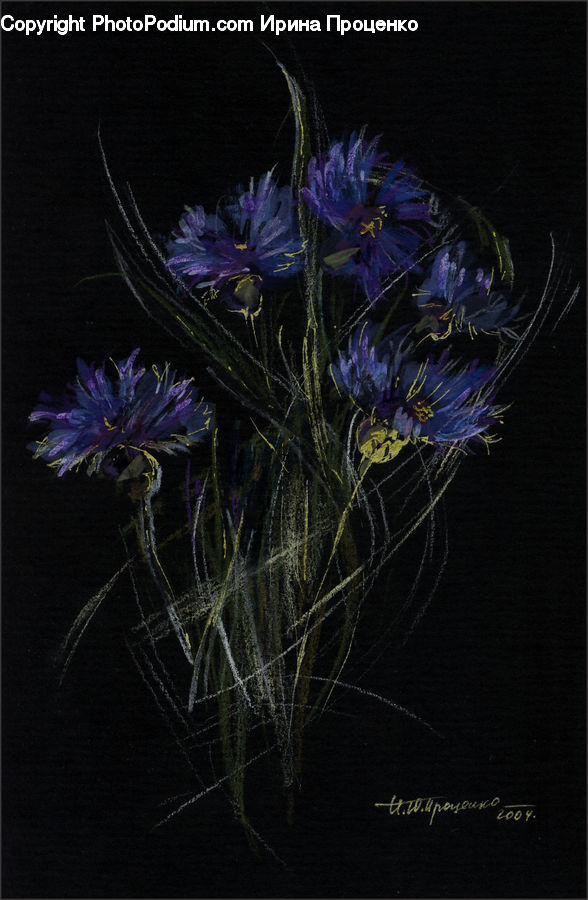Flower Arrangement, Ikebana, Plant, Potted Plant, Vase, Fractal, Blossom
