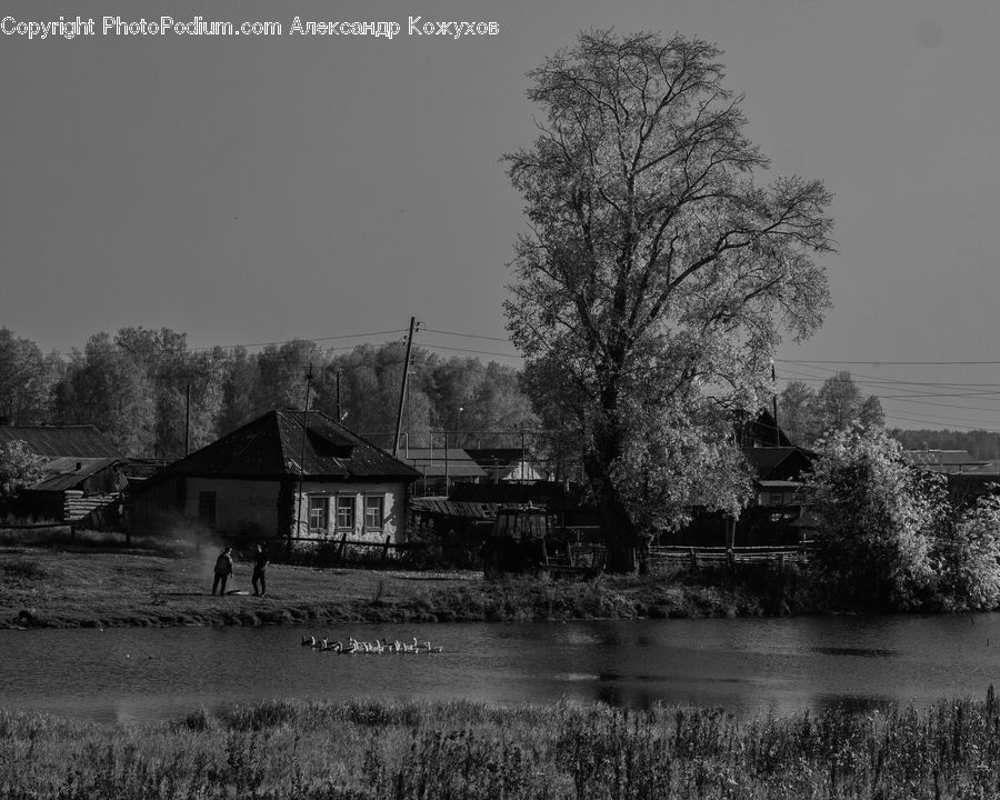 Building, Cottage, Housing, Countryside, Outdoors, Field, Rural