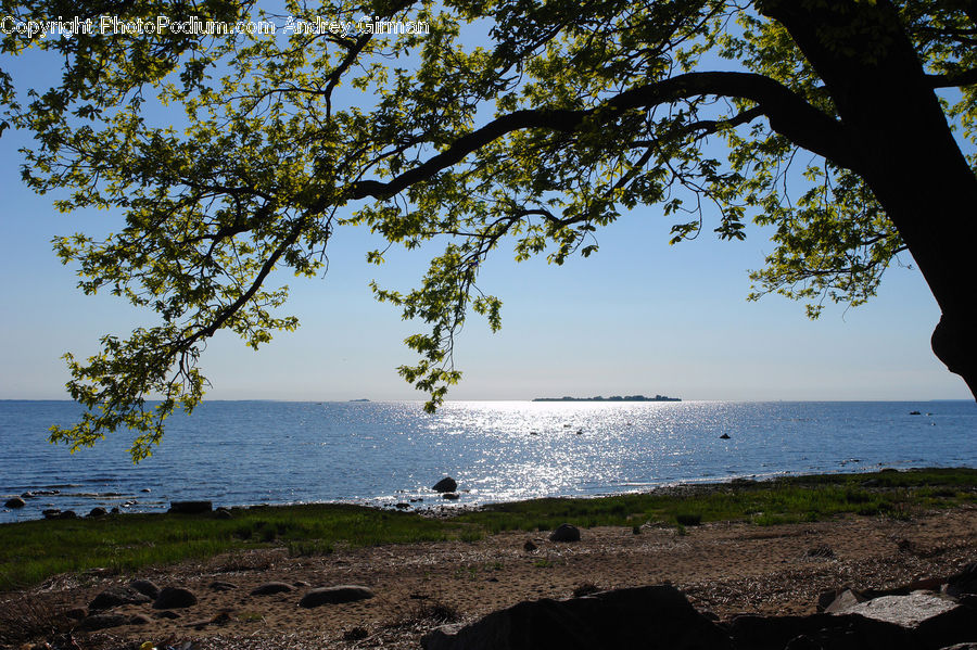 Beach, Coast, Outdoors, Sea, Water, Cove, Landscape