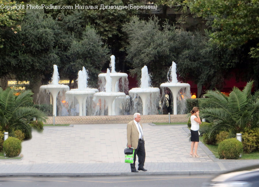 People, Person, Human, Fountain, Water, Fence, Hedge