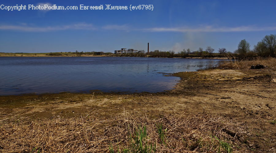 Land, Marsh, Pond, Swamp, Water, Landscape, Nature