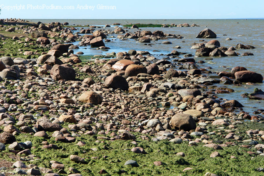 Rock, Coast, Outdoors, Sea, Water, Bird, Booby