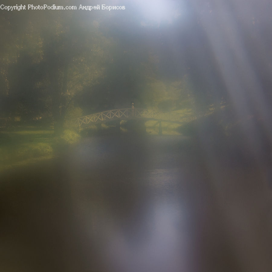 Flare, Light, Fog, Field, Grass, Grassland, Plant