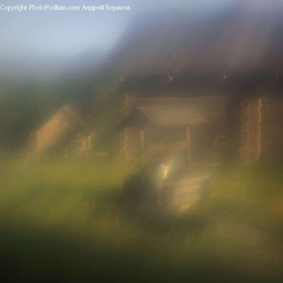 Fog, Mist, Outdoors, Field, Grass, Grassland, Plant
