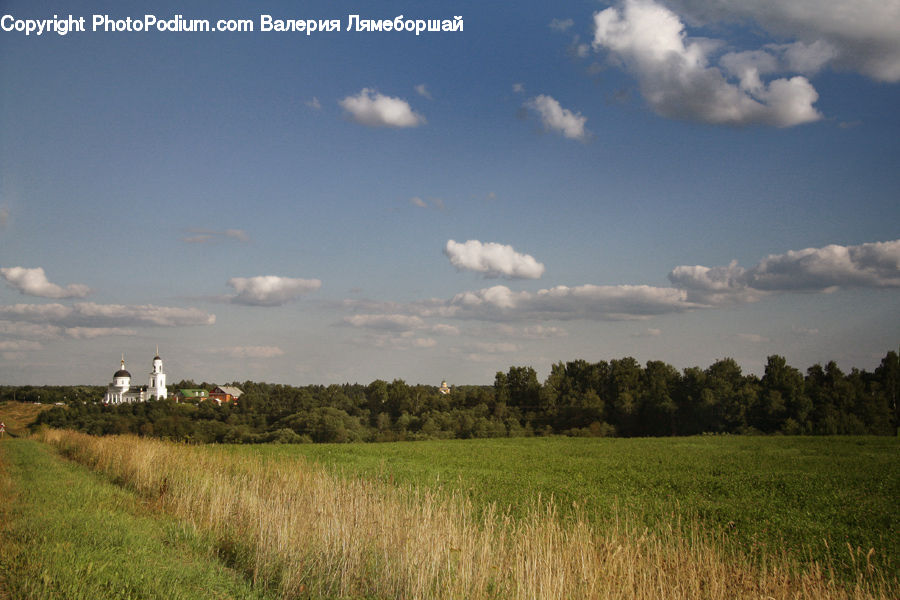 Field, Grass, Grassland, Land, Outdoors, Cloud, Cumulus
