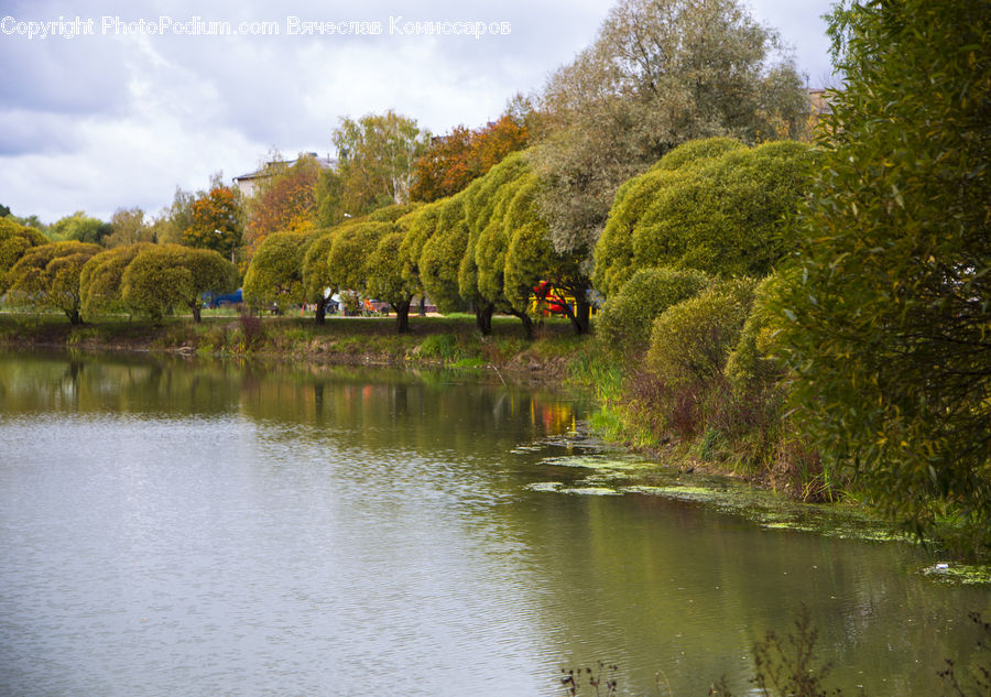 Outdoors, Pond, Water, Canal, River, Countryside, Plant