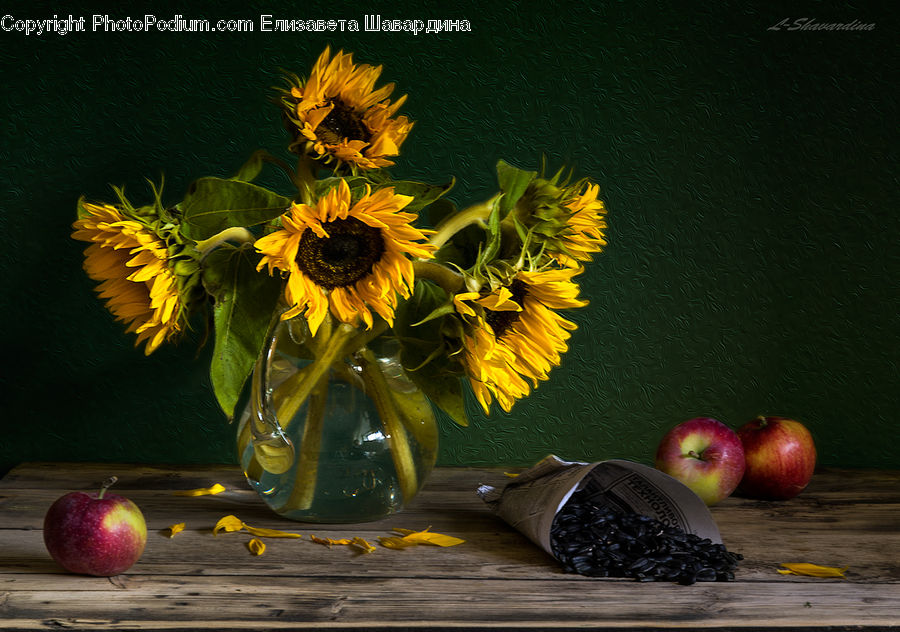 Apple, Fruit, Blossom, Flora, Flower, Plant, Sunflower