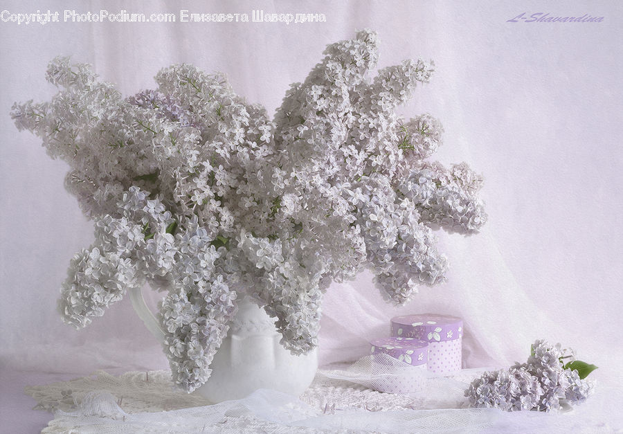 Blossom, Flower, Lilac, Plant, Accessories, Home Decor, Linen