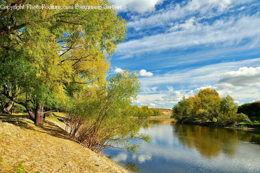 Outdoors, River, Water, Conifer, Fir, Plant, Tree