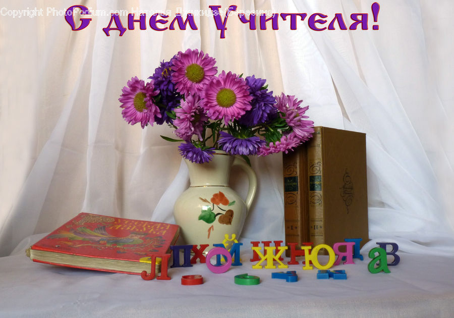 Plant, Potted Plant, Birthday Cake, Cake, Dessert, Food, Floral Design