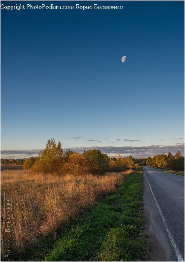 Dirt Road, Gravel, Road, Asphalt, Tarmac, Field, Grass