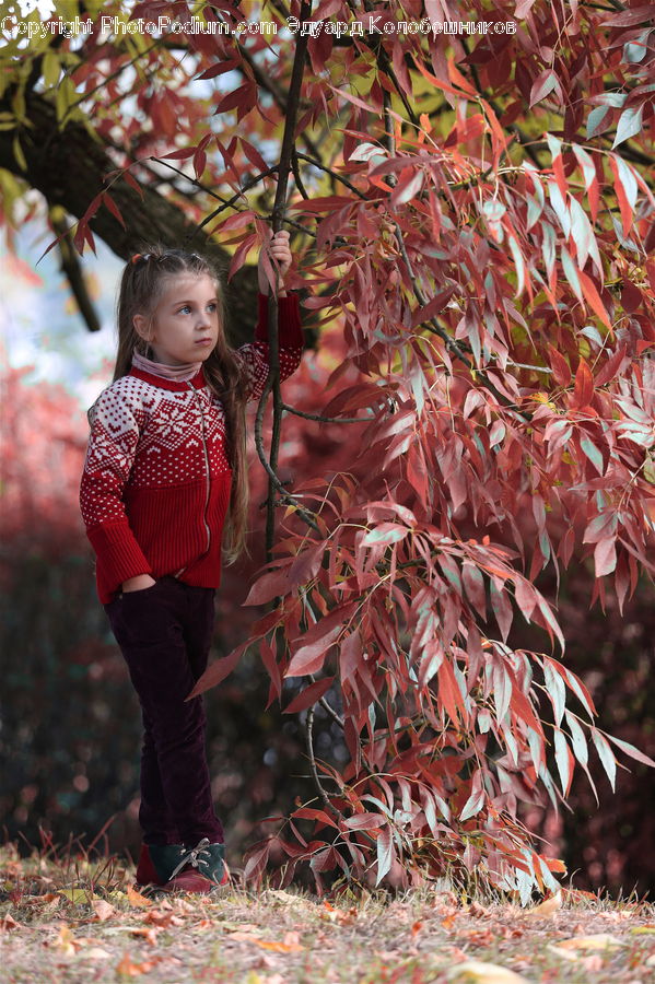 People, Person, Human, Female, Girl, Woman, Blossom