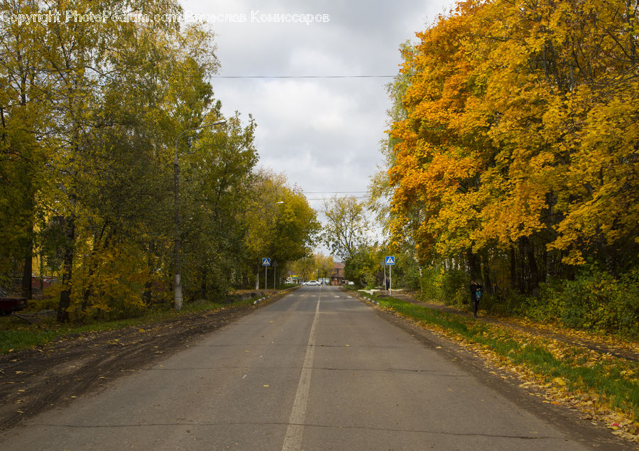 Dirt Road, Gravel, Road, Freeway, Highway, Path, Walkway