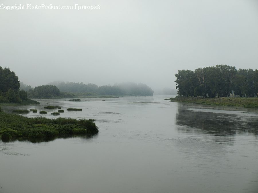Land, Marsh, Outdoors, Swamp, Water, River, Landscape