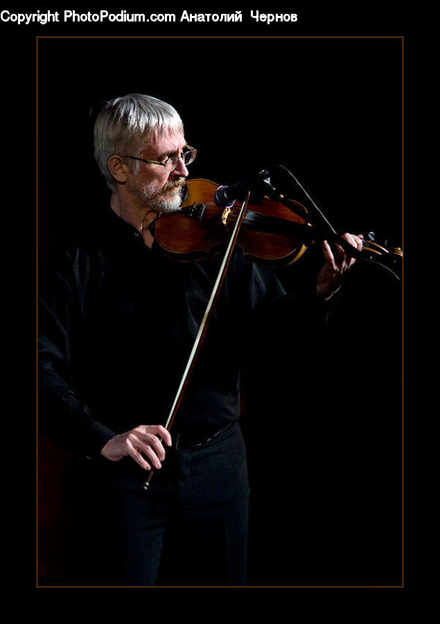 Human, People, Person, Cello, Fiddle, Musical Instrument, Violin