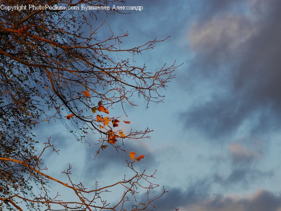 Azure Sky, Cloud, Outdoors, Sky, Landscape, Nature, Scenery