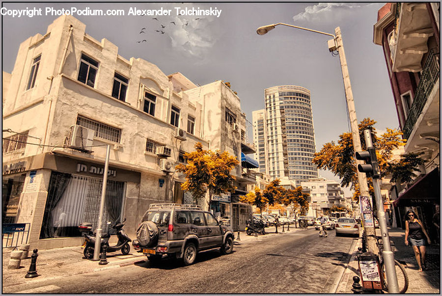 Light, Traffic Light, Car, Suv, Vehicle, Plant, Potted Plant