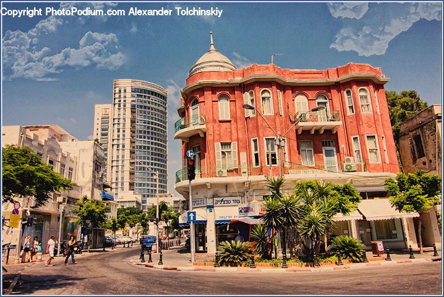 Plant, Potted Plant, Architecture, Downtown, Plaza, Town, Town Square