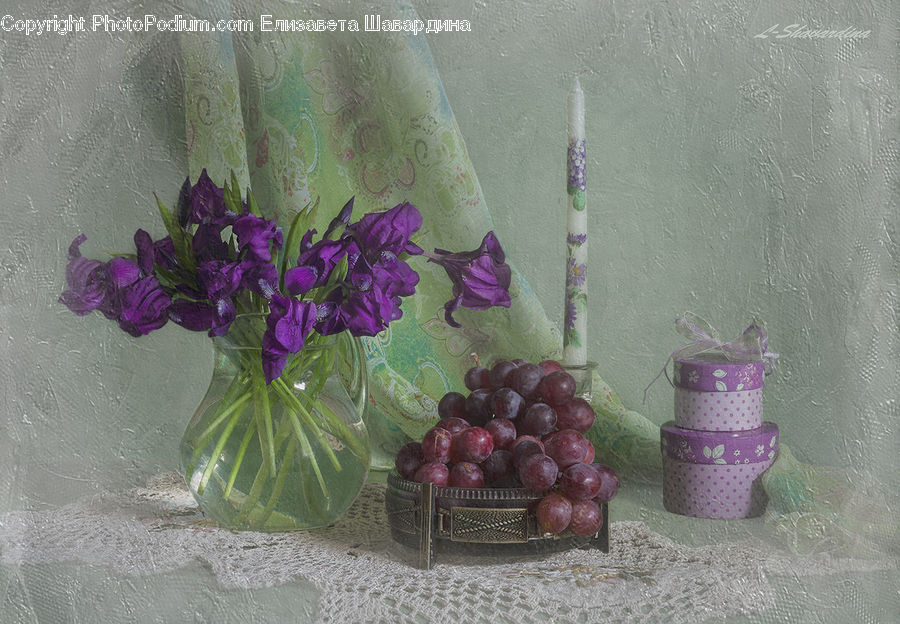 Fruit, Plum, Blossom, Flower, Lilac, Plant, Grapes