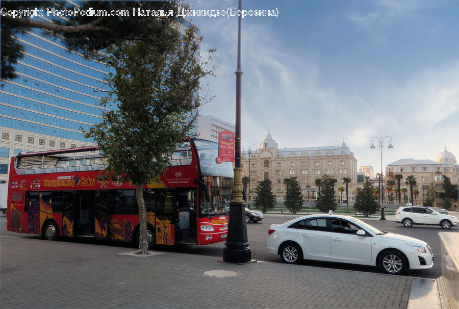 Bus, Vehicle, Shop, Double Decker Bus, Automobile, Car, Coupe