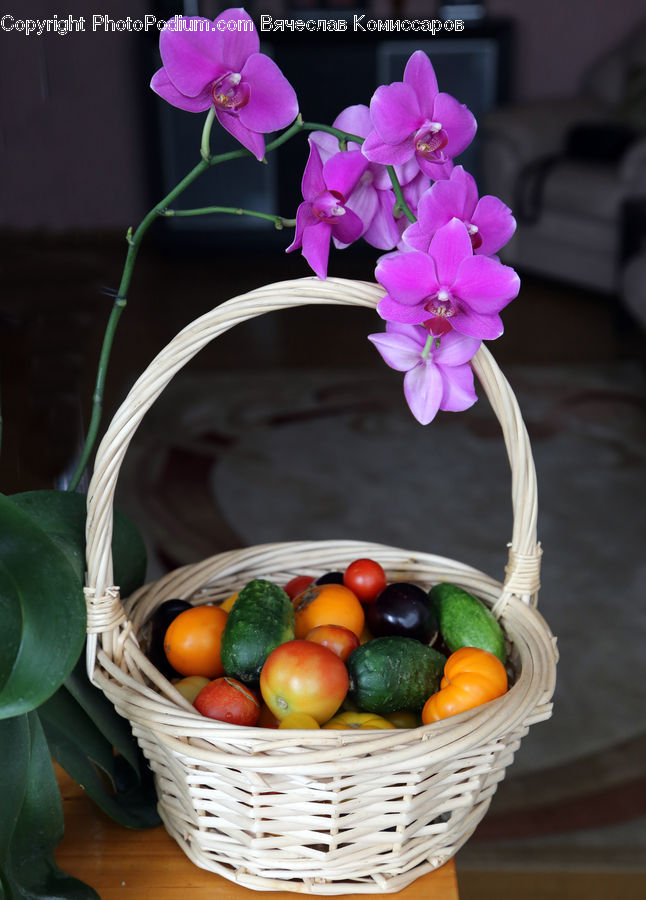 Flora, Flower, Gladiolus, Plant, Basket, Blossom, Violet